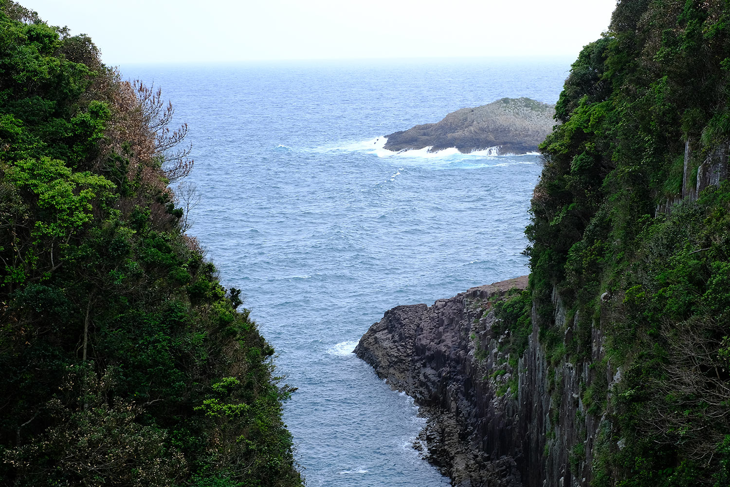 日向市の自然に囲まれた施設風景